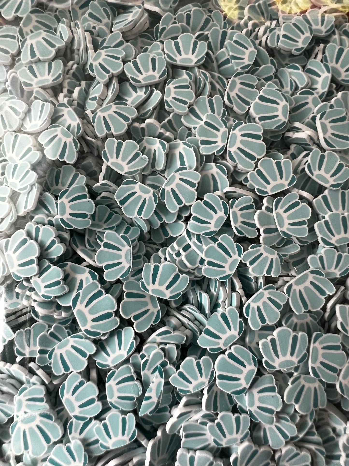 Shells
