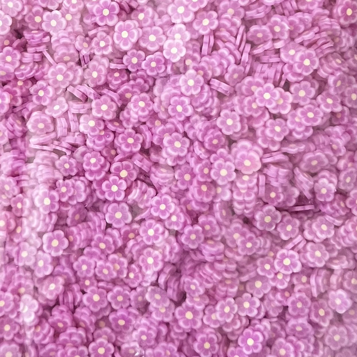 Purple Glow Flowers