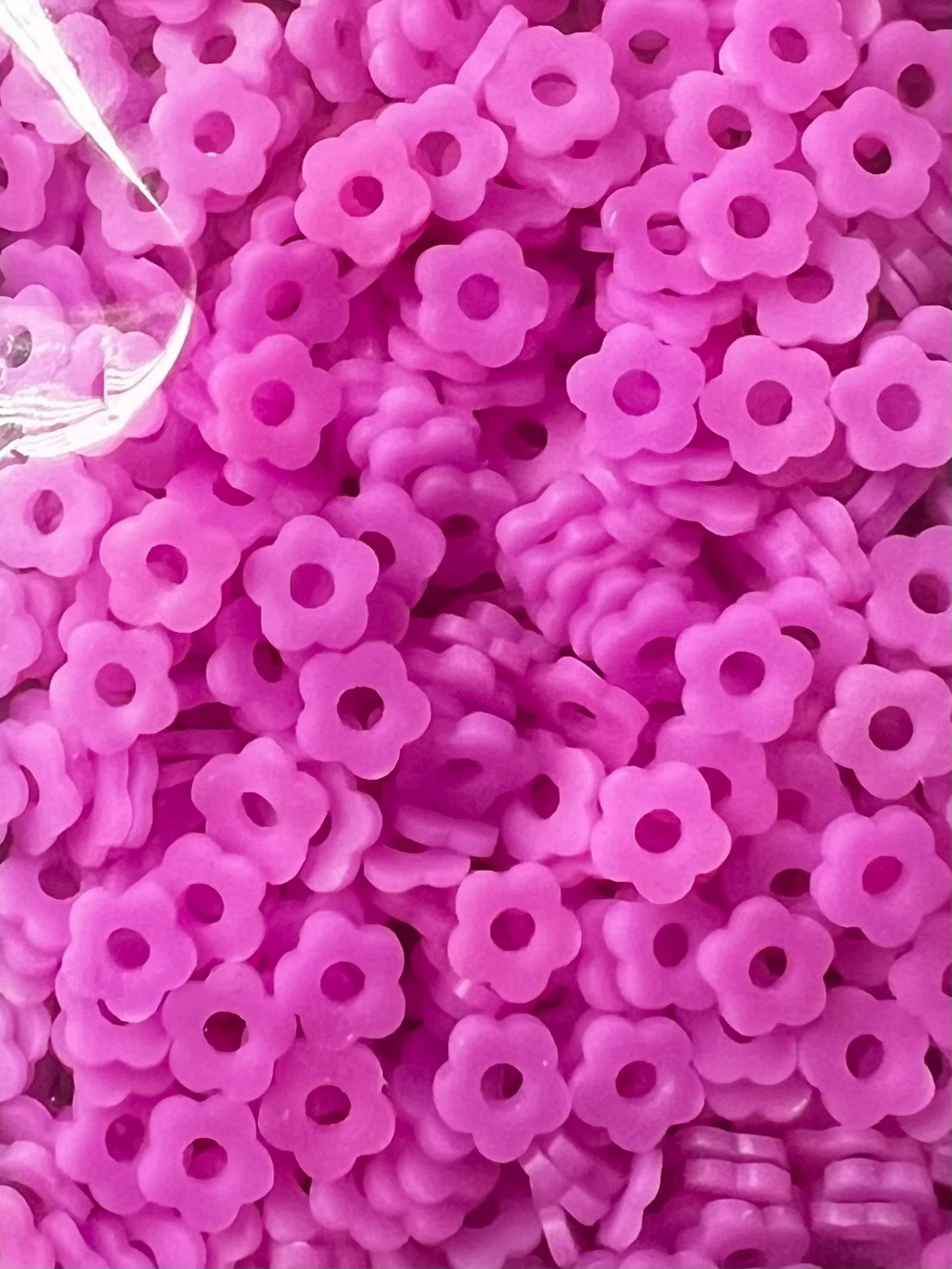 Purple Glow Flowers