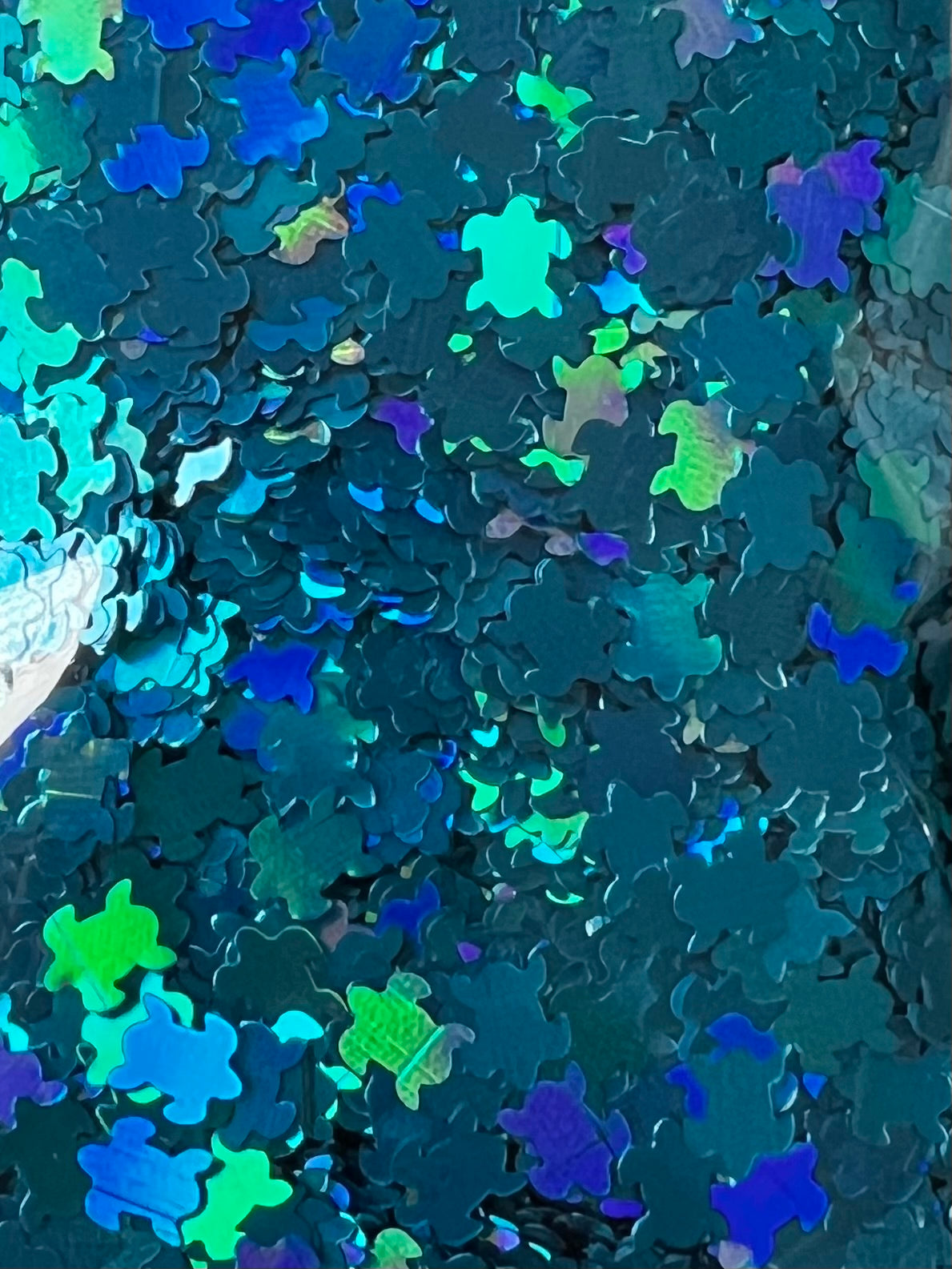 Blue Shifty Turtles
