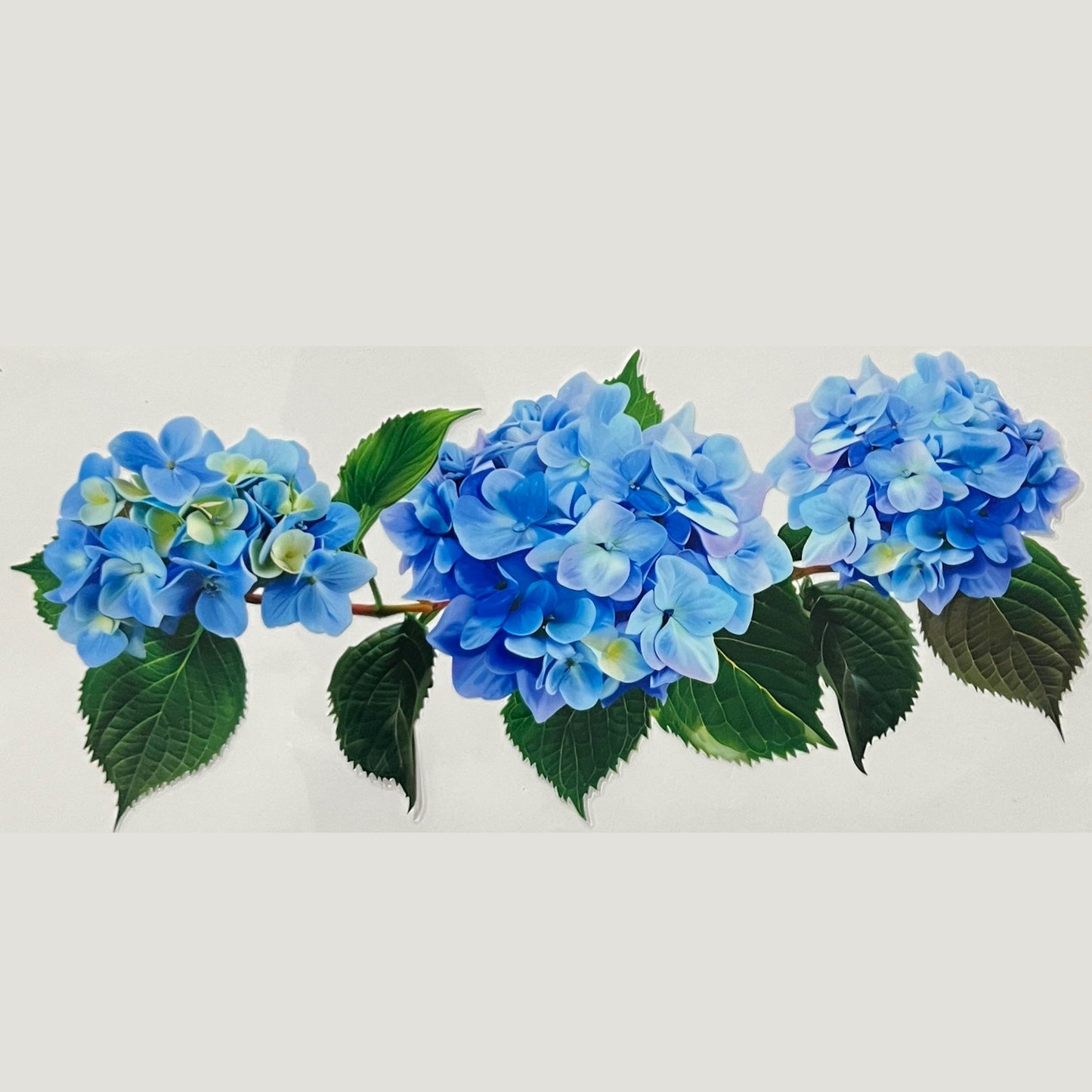 654