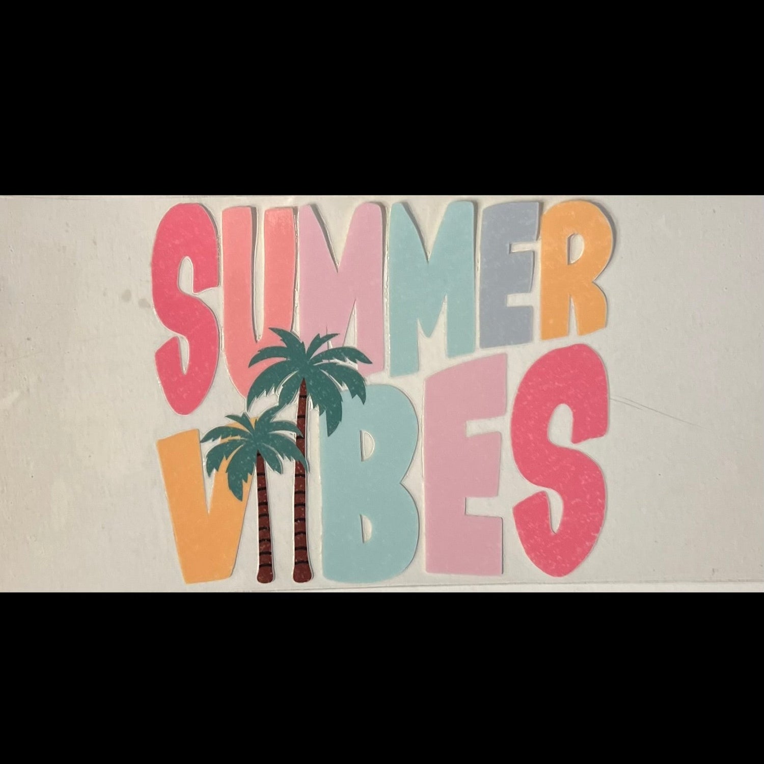 Beach/Summer/Sea Life