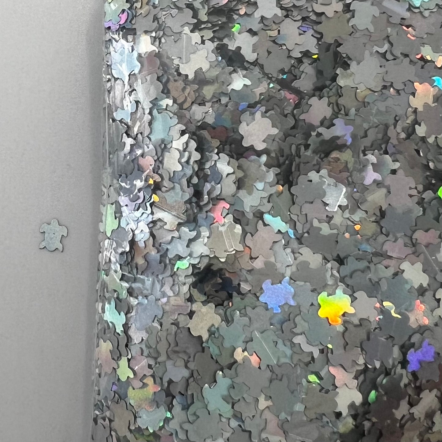 Silver Holographic Turtles