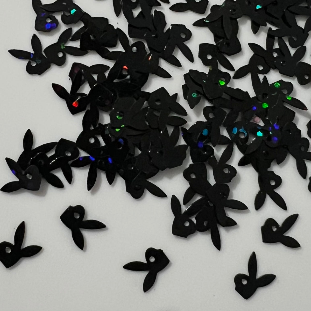 Black Holo PB Bunny