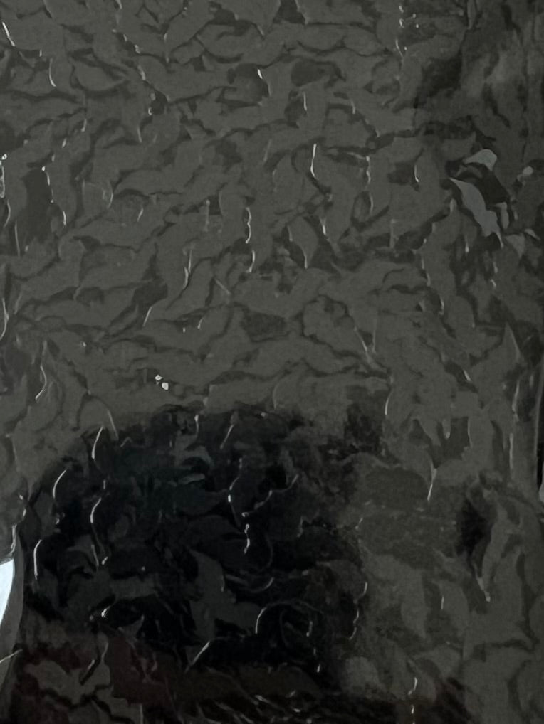 Black Bats (glitter shape)