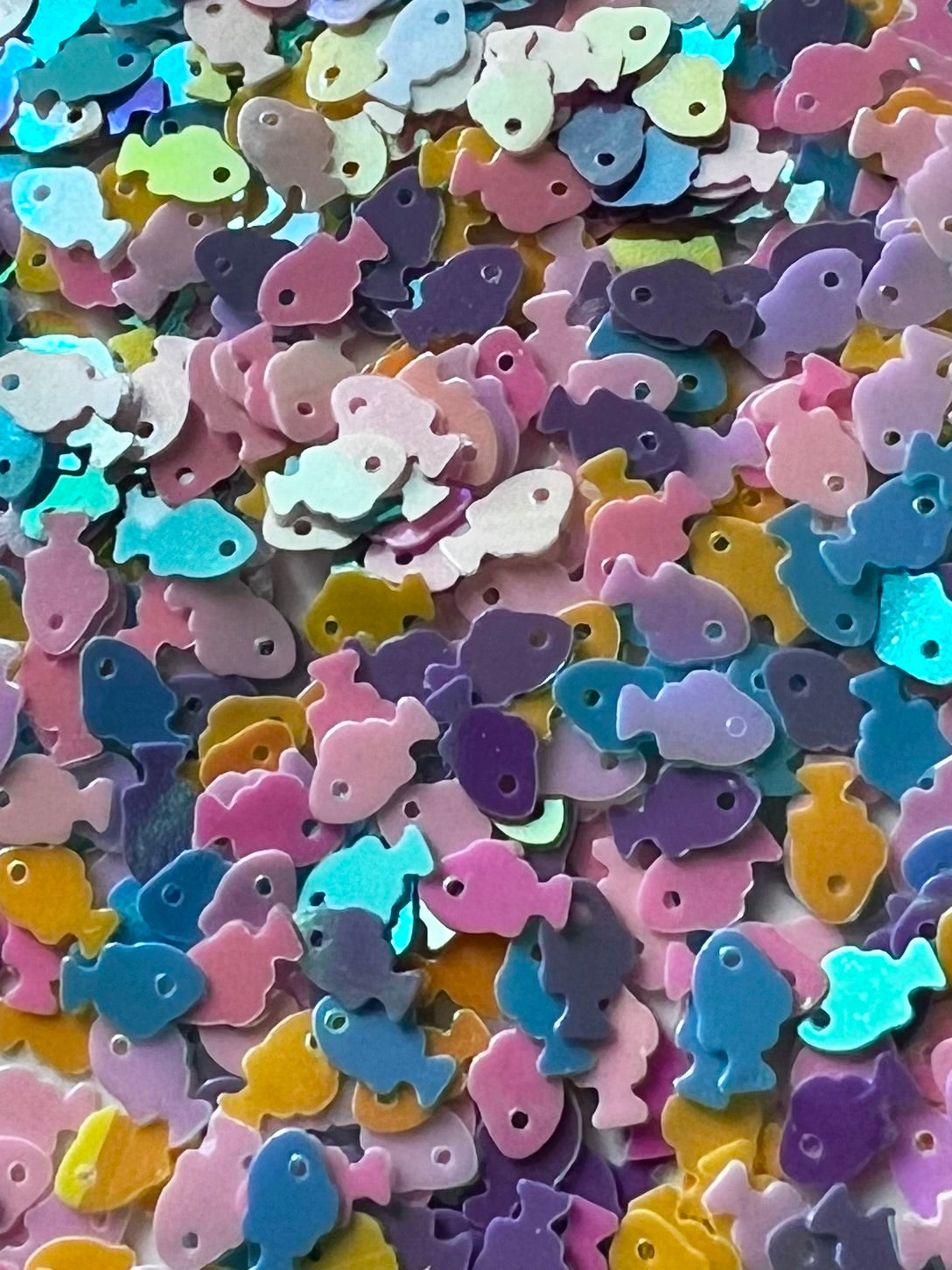 Colorful Shifty Fish